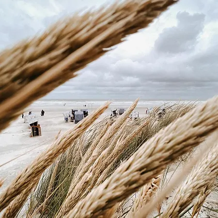 Nordstrandperle Ap H1 *