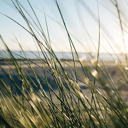 Apartment Nordstrandperle Ap H1